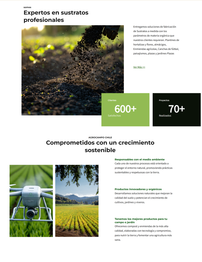 Detalle del proyecto de Estudio Craft